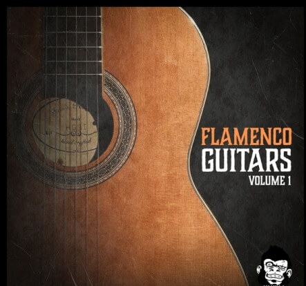 Vanilla Groove Studios Flamenco Guitars Vol.1 WAV